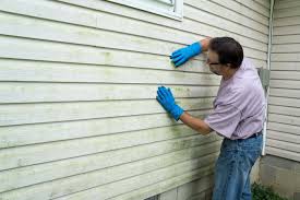 Best Storm Damage Siding Repair  in Ladysmith, WI